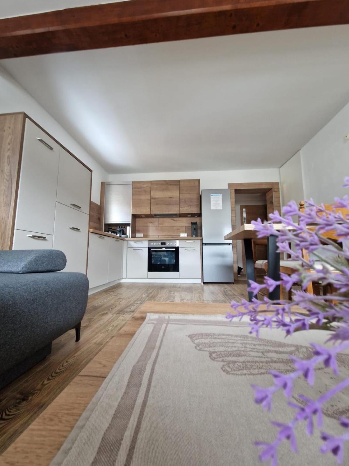 Haus-Ennstal Apartment Oblarn Bagian luar foto